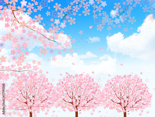 桜　花　背景