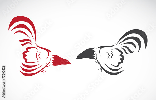 Vector image of an cock on white background