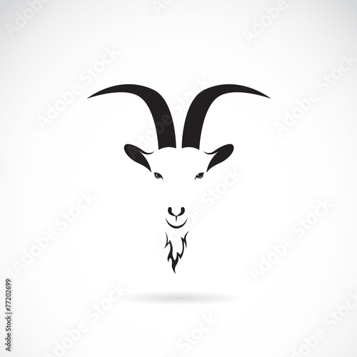 Vector of goat head on white background. Animal. 