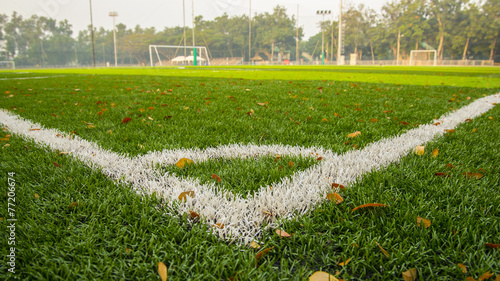 Soccer Field with white line photo