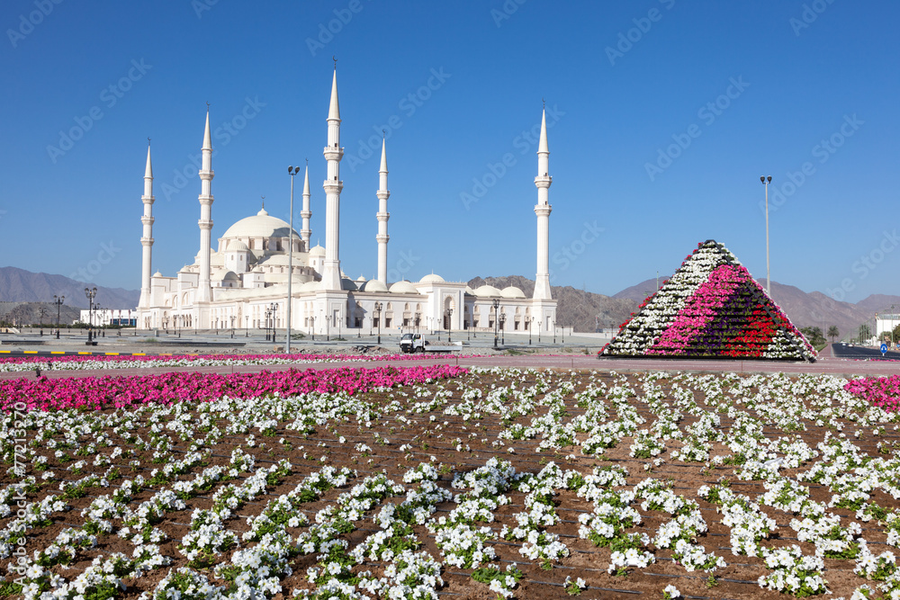 Fototapeta premium Sheikh Zayed Grand Mosque in Fujairah, UAE