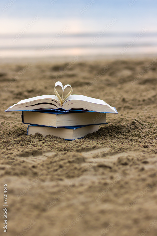 Naklejka premium Book on the beach