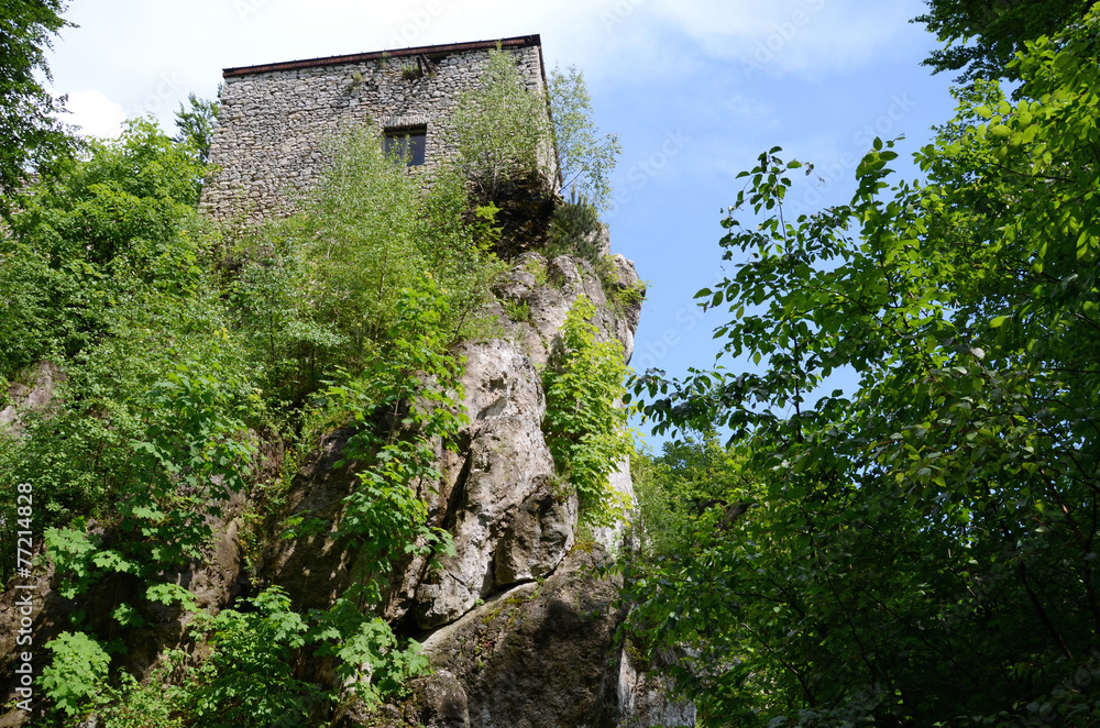 Fototapeta premium Castle Morsko in Poland