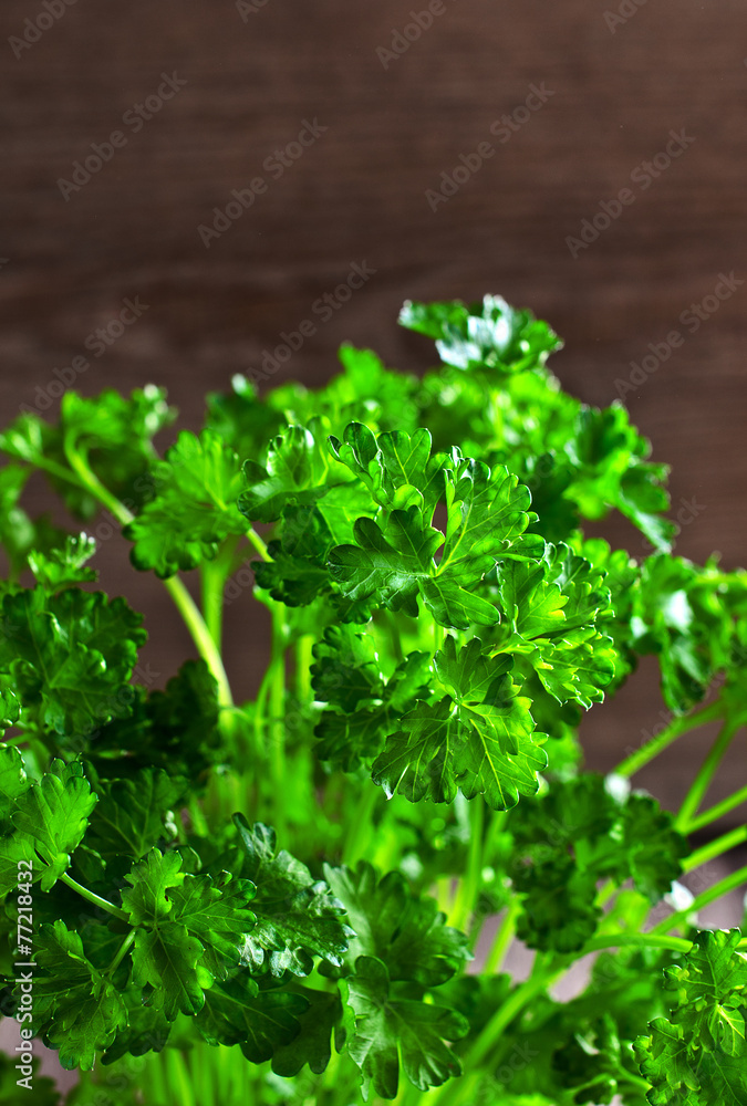 The leaves of fresh parsley