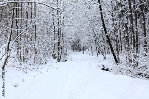 Wallpaper Mural Winterlandschaft Torontodigital.ca