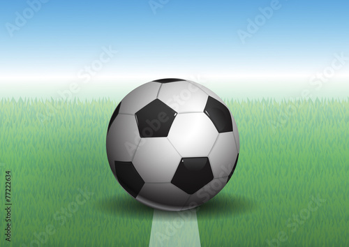 soccer ball on grass  vector illustration
