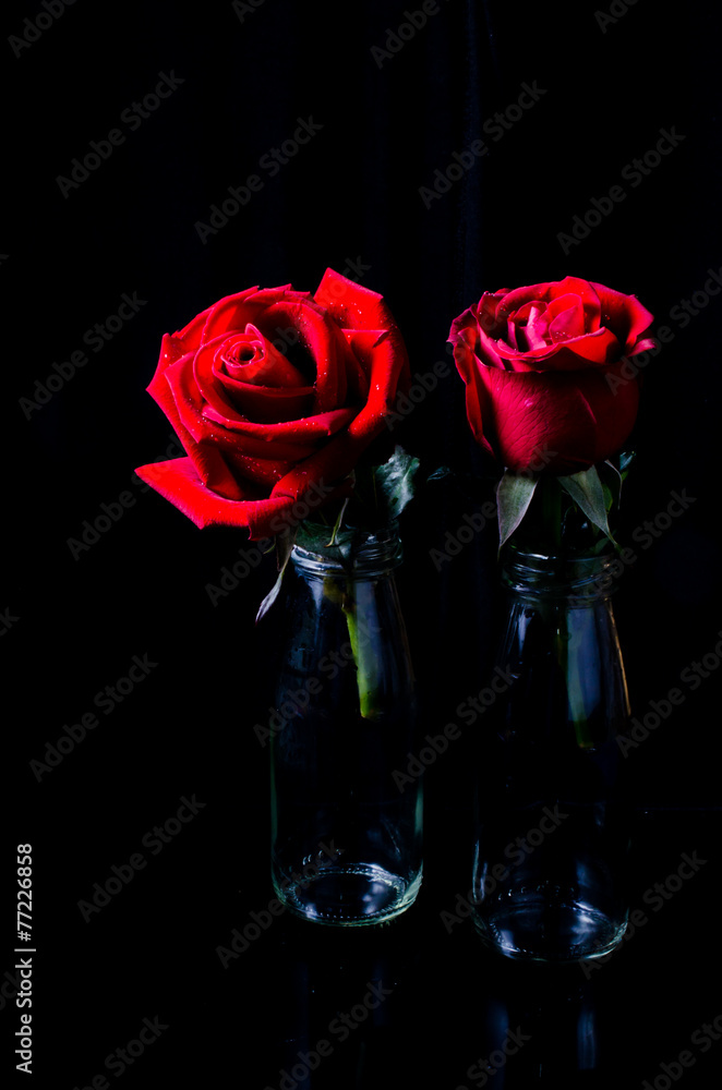 red rose flower with reflection on black surface background red rose flower with reflection on black surface background