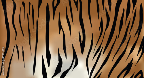 Tiger fur texture vector