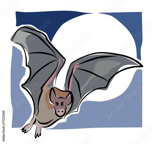 sketchy bat