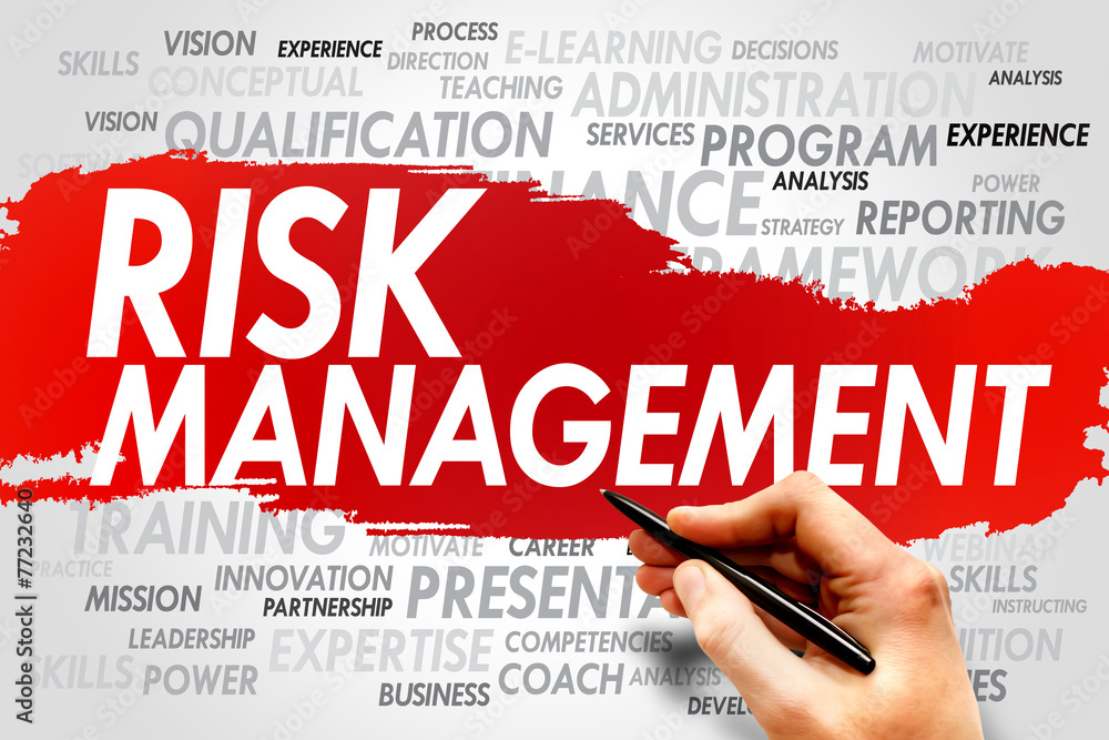 Risk Management word cloud, business concept Risk Management word cloud, business concept