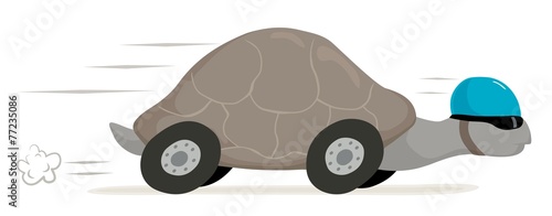 tortoise on wheels