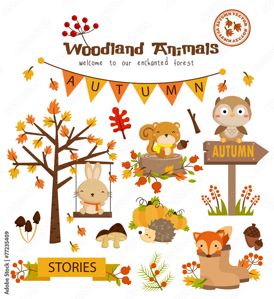 Naklejka premium Animal woodland autumn vector set
