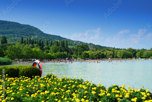 Foto Detail of Badacsony at Lake Balaton, Hungary