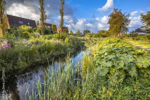 Ecological Drainage canal photo