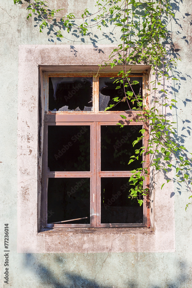 broken window of a ruined house