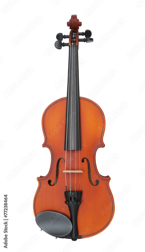 Obraz premium Light brown violin isolated on white background