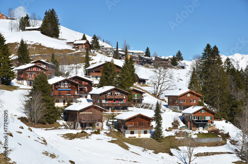Spring in Braunwald, famous Swiss skiing resort © HappyAlex
