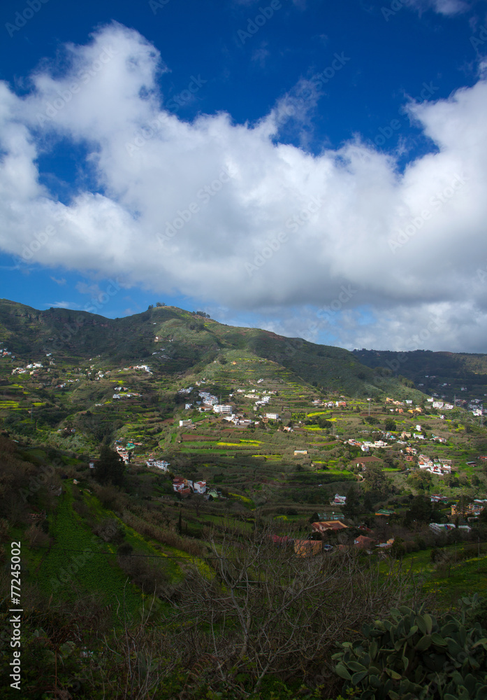 Fototapeta premium Inland Gran Canaria, winter