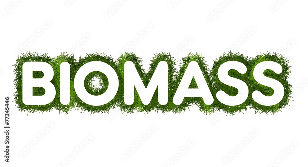 Biomass title with grass arround Biomass title with grass arround