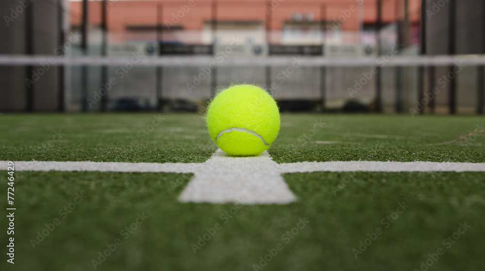 Isolated in court paddle tennis ball