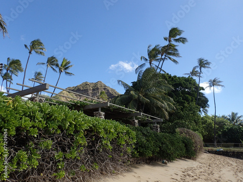 Makalei Beach with waves lapping, napakaa, and coconut trees alo photo