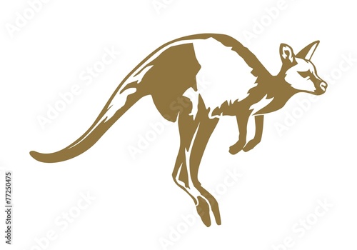 kangaroo © eneng
