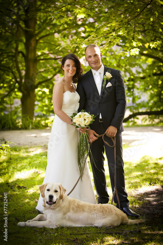 dog newlywed wedding couple