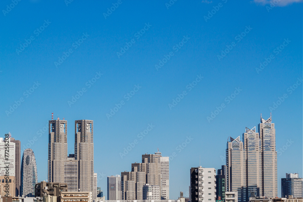 日本　東京　新宿　高層ビル群