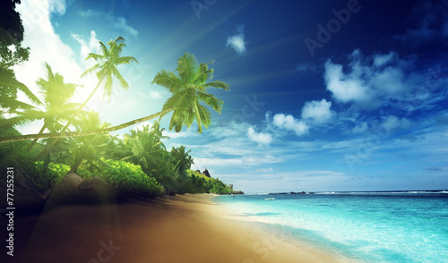 beach in sunset time on Mahe island in Seychelles