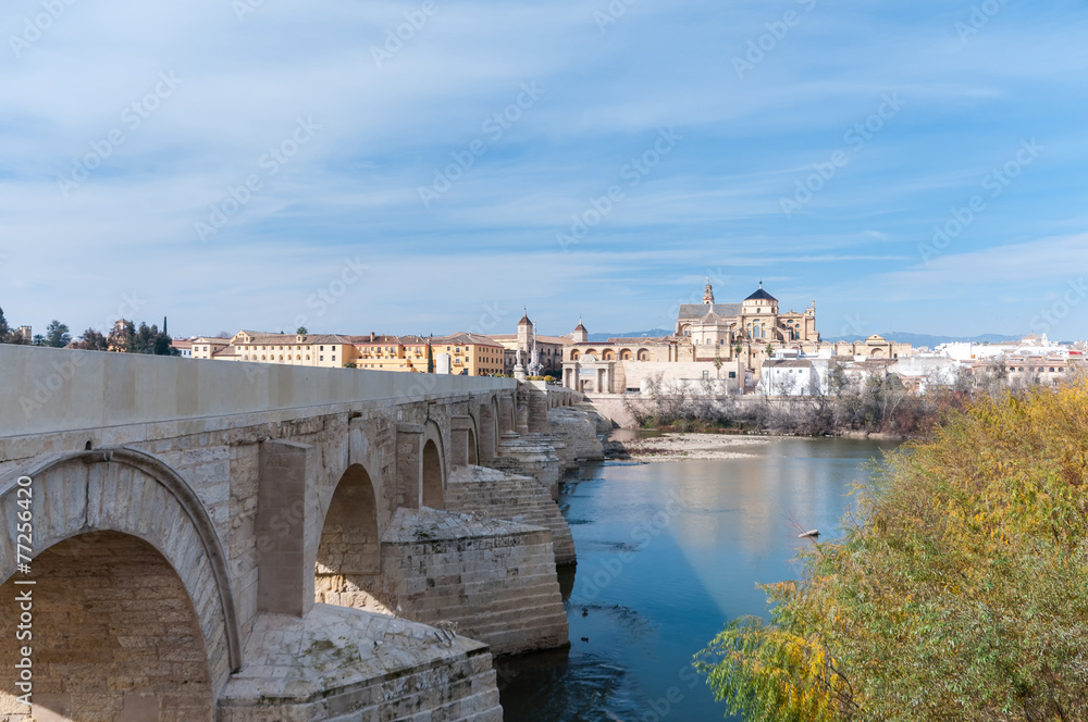 View of Great Mosque of Cordoba with famous Roman Bridge.