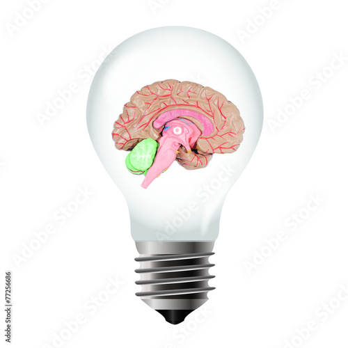 Gluehbirne mit Gehirn- Light bulb with brain