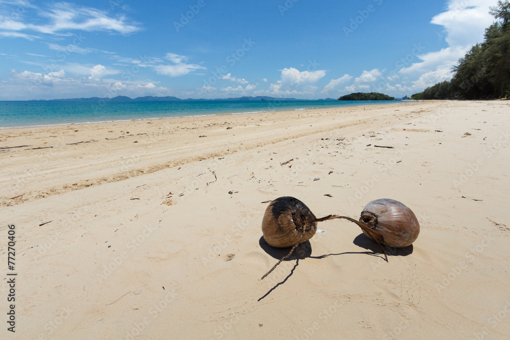 Obraz premium Coconuts on the beach
