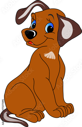 dog