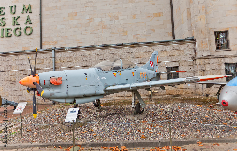 Fototapeta premium Polish trainer aircraft PZL 130 Orlik