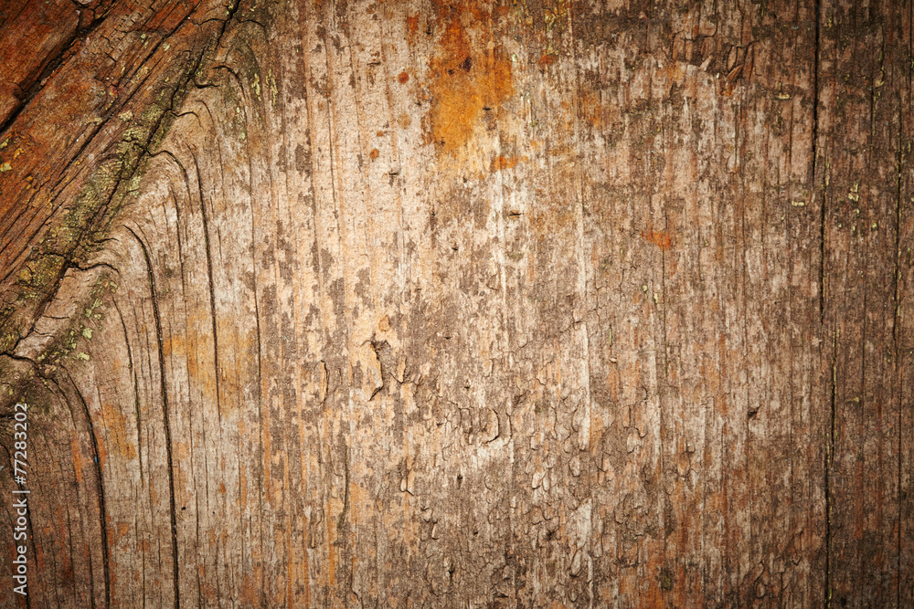 Obraz premium Wooden texture