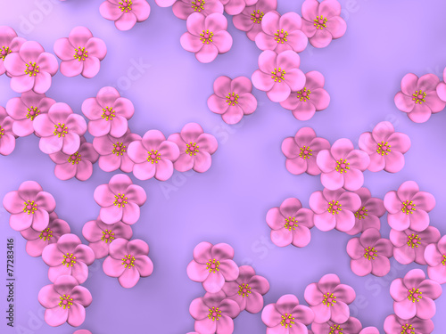 Cherry Blossoms On Purple Background