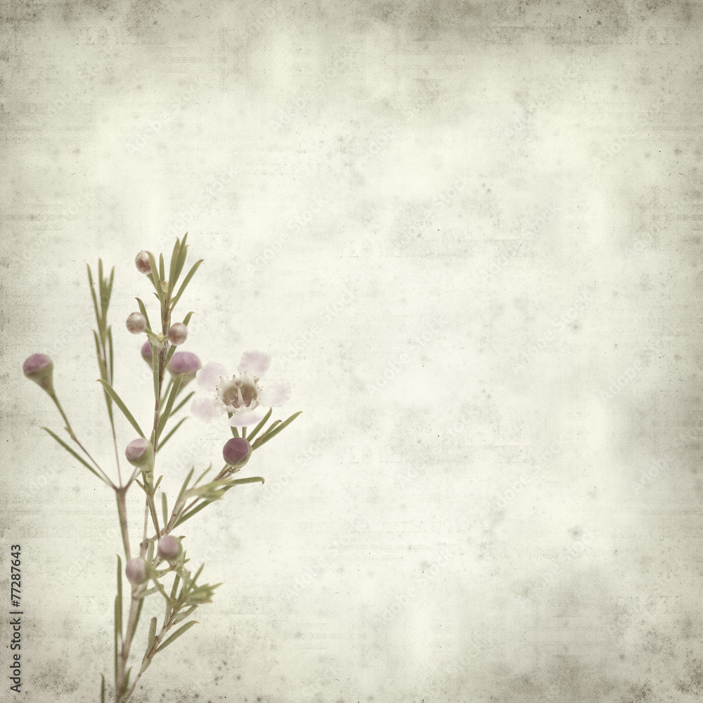 textured old paper background textured old paper background