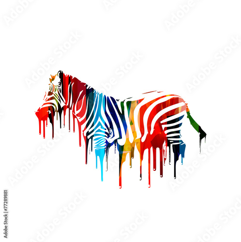 Colorful vector zebra