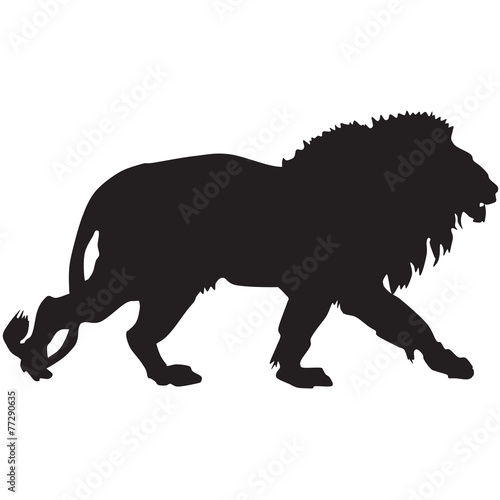 Fototapeta Naklejka Na Ścianę i Meble -  silhouette of a lion-ill