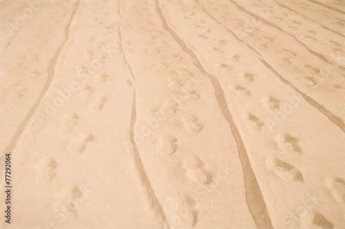 sand traces  - illustration based on own photo image