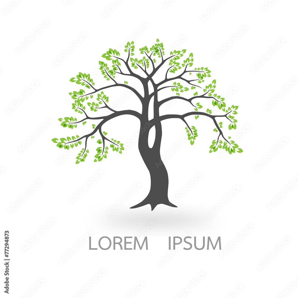 Obraz premium tree casts a shadow, a place for text, vector