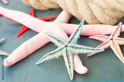 marine rope with starfish