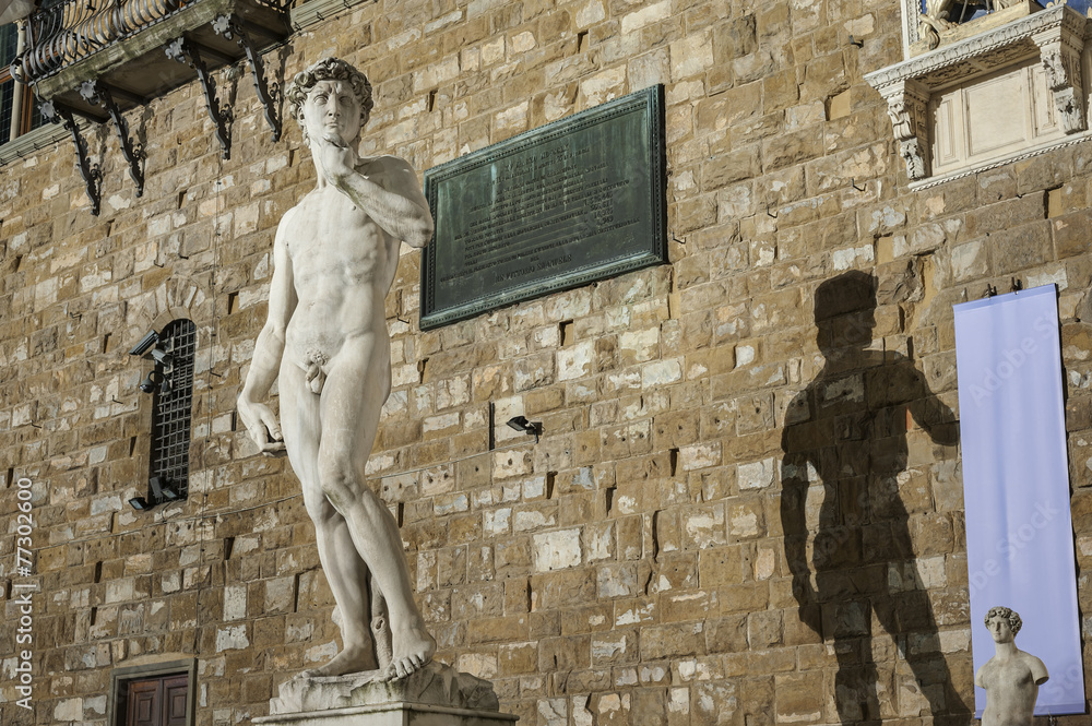 Obraz premium Michelangelo's replica David statue. Florence, Italy