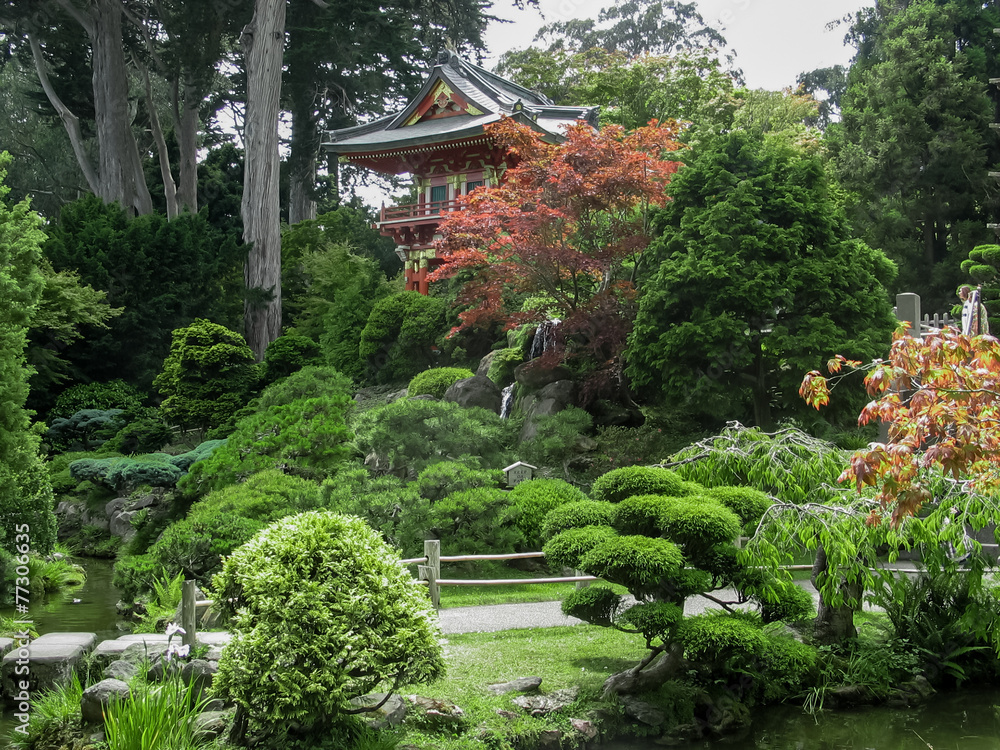 Japanese Tea Garden in San Francisco