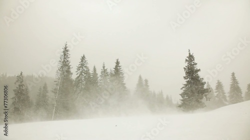 Winter storm on the mountain