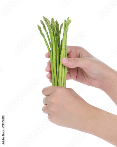 female hand holding fresh asparagus isolated on white background