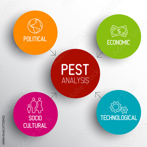 Vector PEST diagram schema
