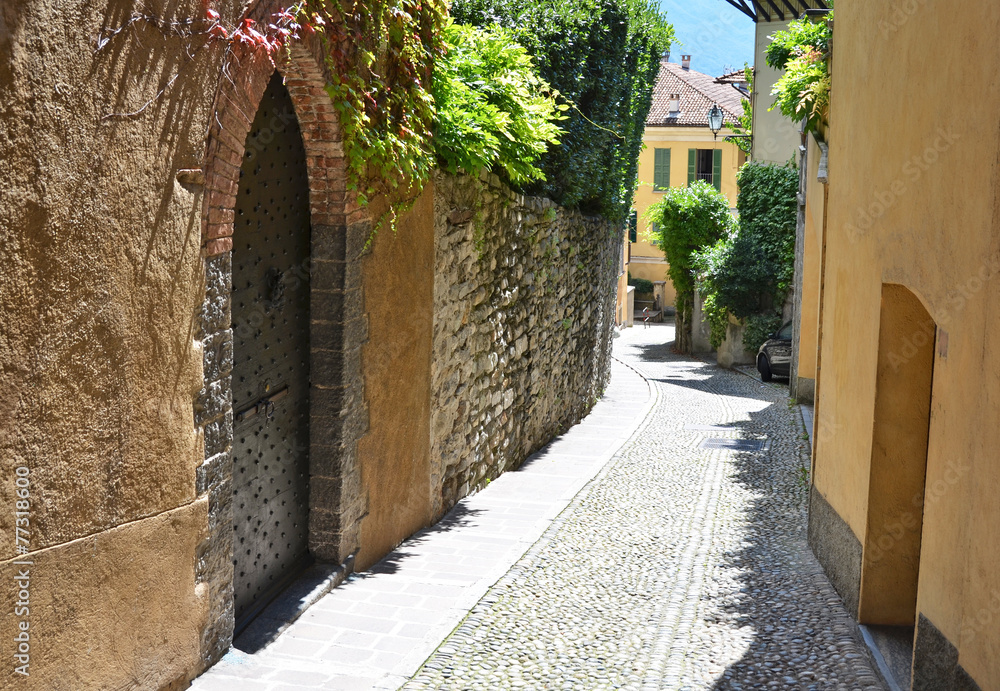 Obraz premium Menaggio town at the famous Italian lake Como