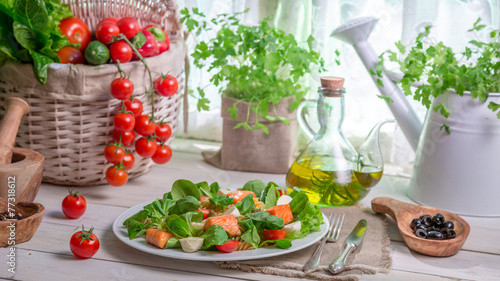 Fresh vegetables and salmon as ingredients for salad