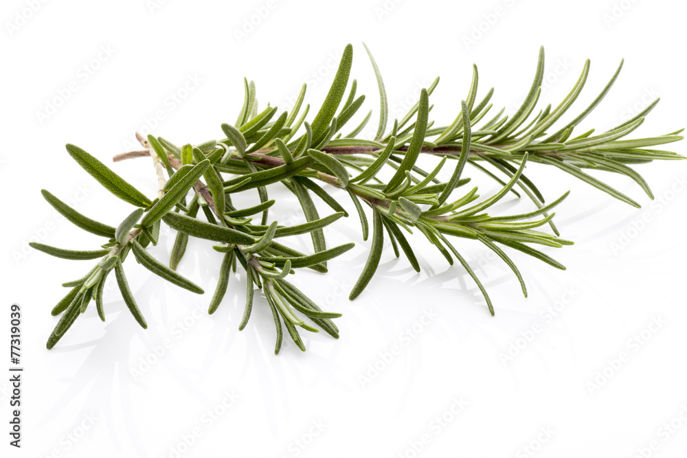 Rosemary. Rosemary.